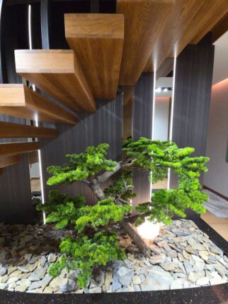 Bonsai na naturalnym pniu - idealny pod schody 150wys.