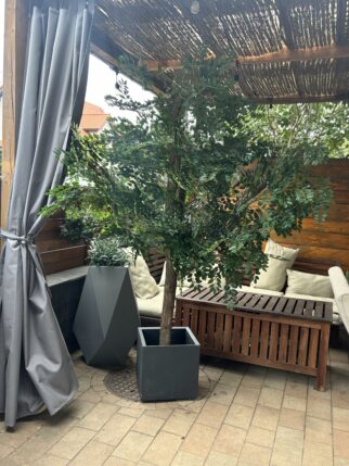 Sztuczne drzewo liściaste - jesion na naturalnym pniu 220cm