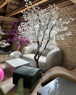 Sztuczny fikus Benjamin z białymi liśćmi na naturalnym pniu 190cm