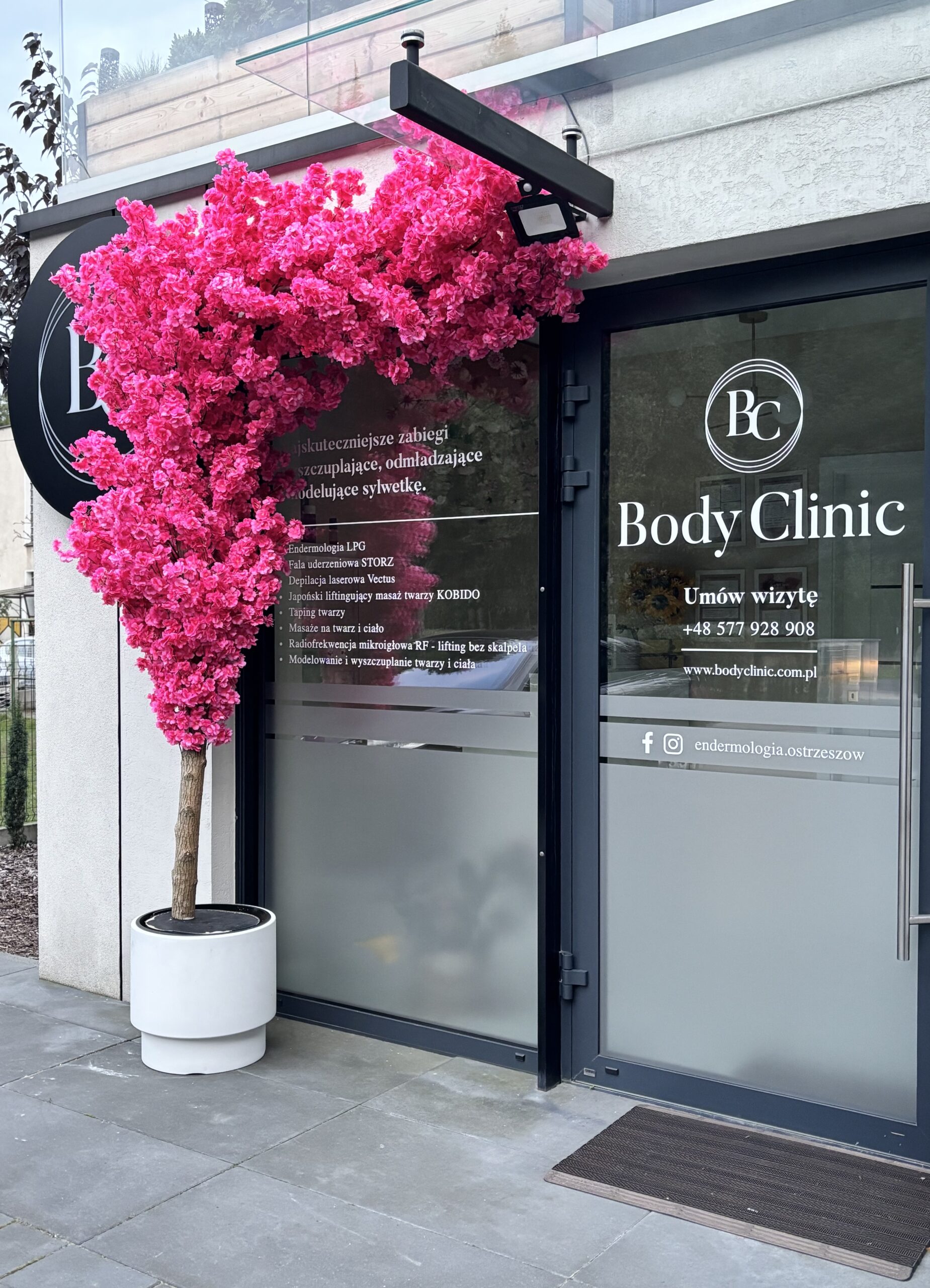 Drzewa na zamówienie