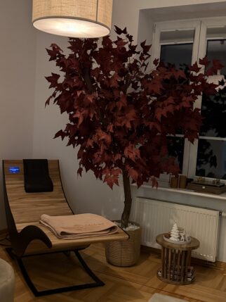 Klon bordowy na naturalnym pniu 220cm