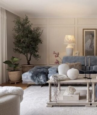 Drzewo oliwne/oliwka 210cm na naturalnym pniu z długą i owalną koroną