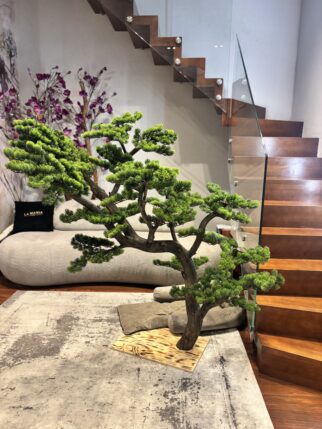 Bonsai na naturalnym pniu - idealny pod schody 170cm