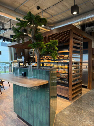 Bonsai na naturalnym pniu - 140cm wysokości i 120cm szerokości