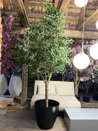 Przepiękne drzewo lipy na naturalnym pniu 250cm wysokości