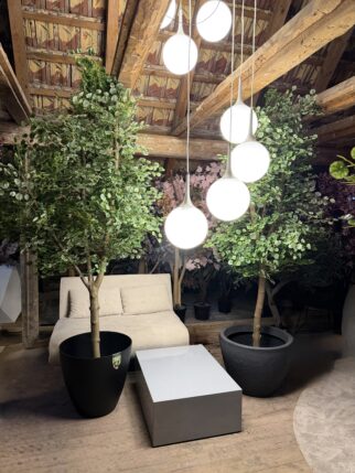 Przepiękne drzewo lipy na naturalnym pniu 250cm wysokości i 100cm szerokości