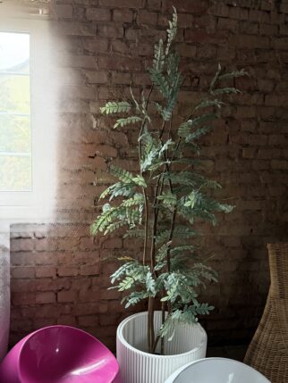 Małe drzewo liściaste 150cm na naturalnym pniu