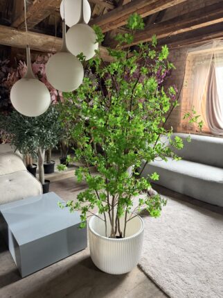 Małe i gęste drzewo liściaste 180cm na naturalnych pniach