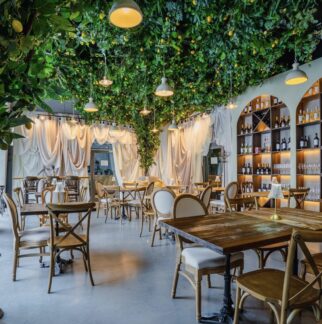 Instalacja z cytryn - drzewo cytrynowe 60m2