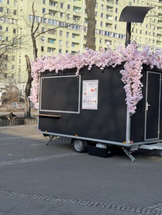 Instalacja z pudrowych kwiatów wiśni 12mb