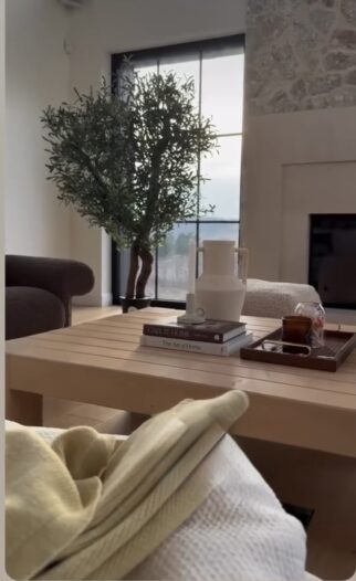 Drzewo oliwne 220cm na naturalnych pniach kręconych