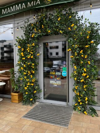 Instalacja z cytryn - witryna, wejście do lokalu 220x2 i 170cm