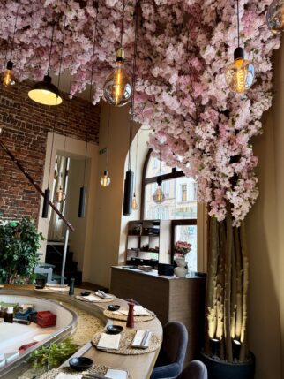 Olbrzymie 5m wysokości drzewo kwitnącej wiśni z koroną 15m2 na ścianie i suficie