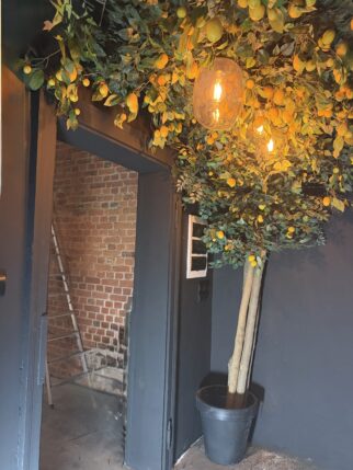 Drzewo cytrynowe - sufit w cytrynach 3,5m2