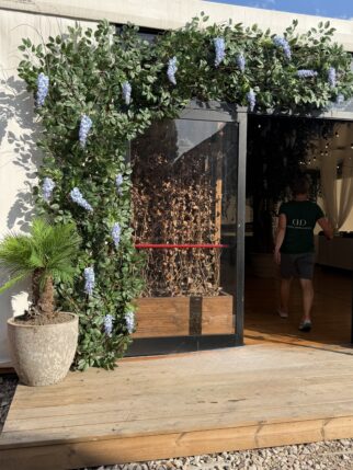 Instalacja z kwiatami wisterii - witryna, wejście do lokalu 220 cm x 170 cm