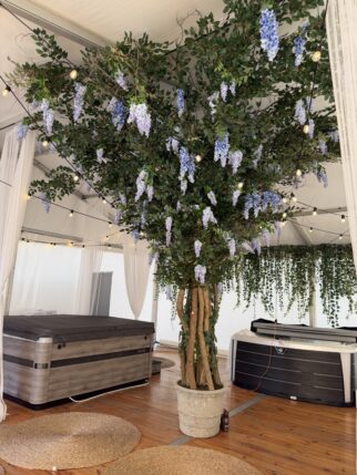 Wisteria z koroną na suficie 15m2